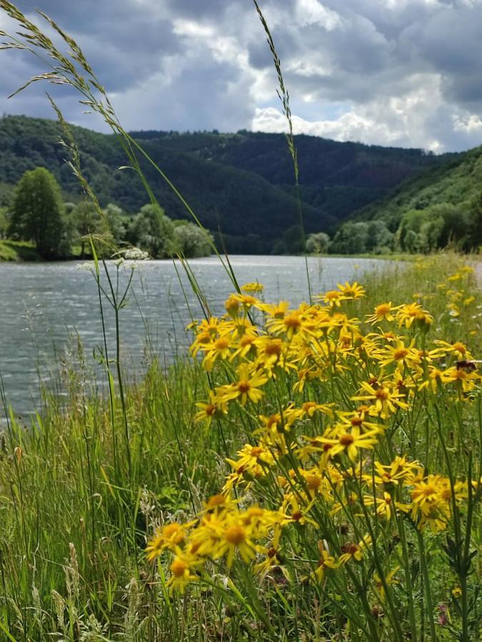 Entre Meuse Et Foret Revin  Zewnętrze zdjęcie