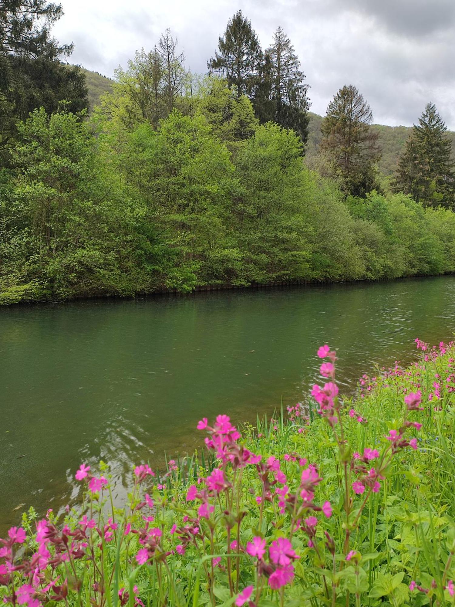 Entre Meuse Et Foret Revin  Zewnętrze zdjęcie