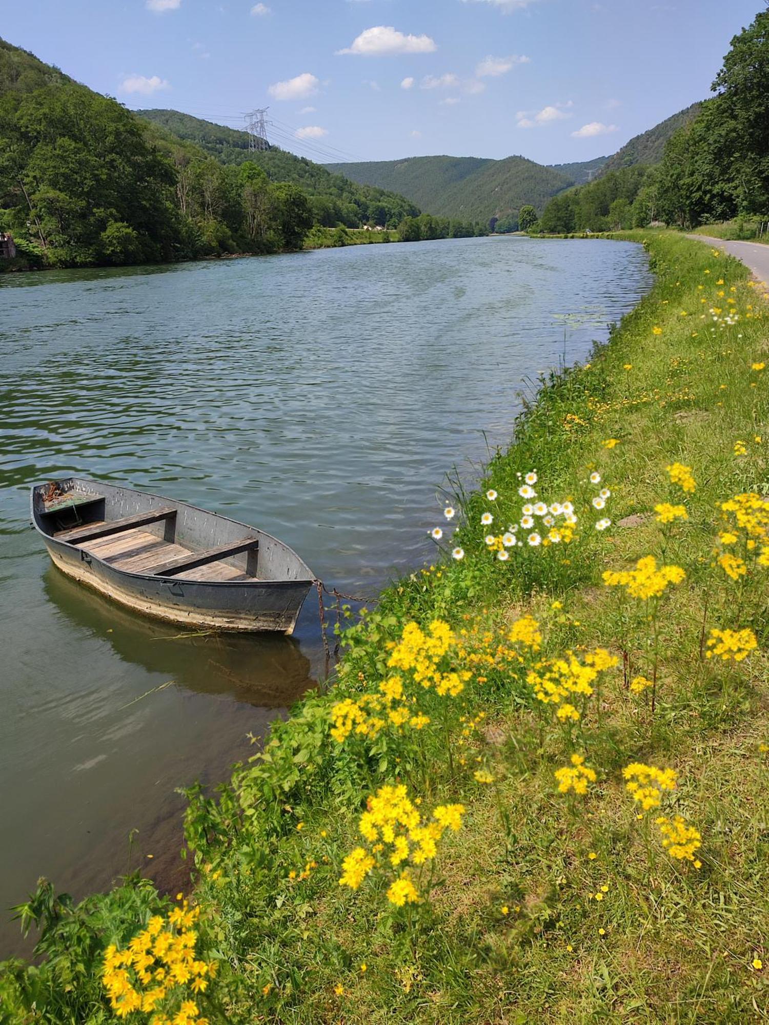 Entre Meuse Et Foret Revin  Zewnętrze zdjęcie