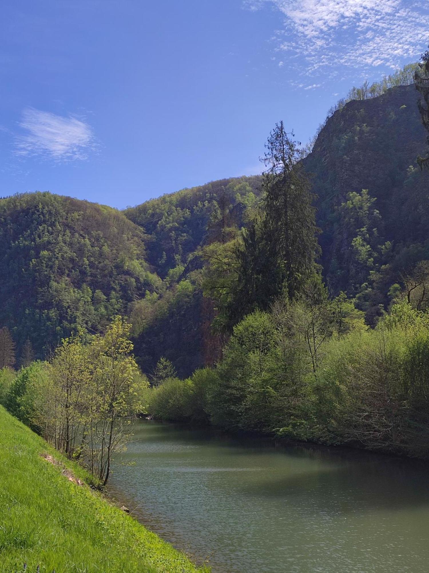 Entre Meuse Et Foret Revin  Zewnętrze zdjęcie